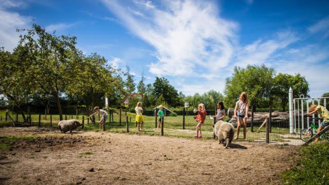 Welcome In - Oranjezon - Vakantiehuis 6 Personen フラウヴェンポルデル エクステリア 写真